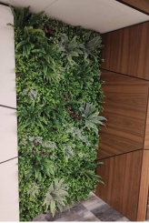 140 Zeleni zid dekoracija